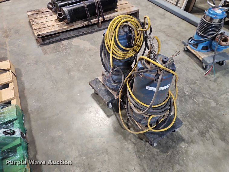 image for item EO7373 (2) Weil Pump 7202K3999 sump pumps
