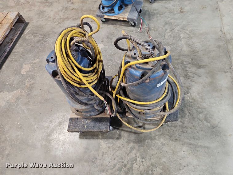 image for item EO7373 (2) Weil Pump 7202K3999 sump pumps