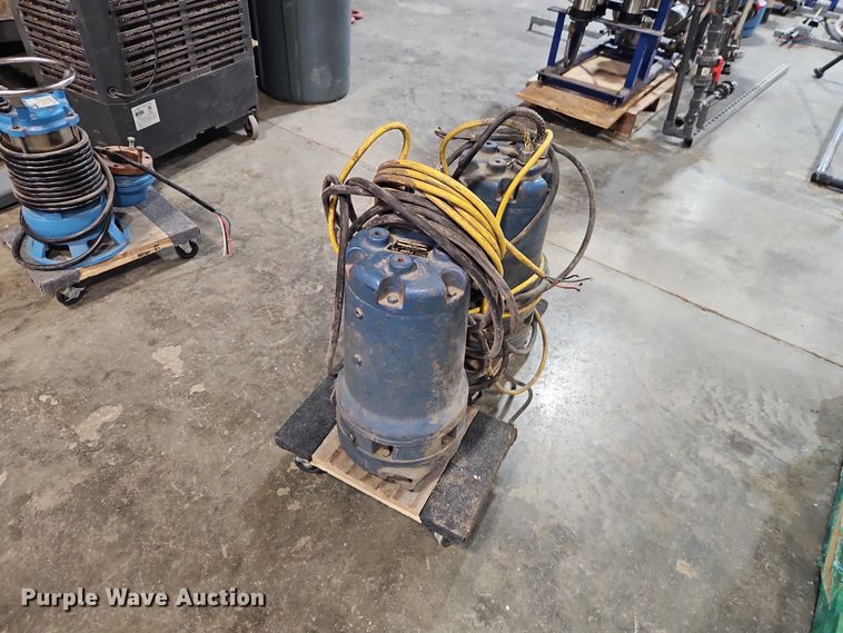 image for item EO7373 (2) Weil Pump 7202K3999 sump pumps