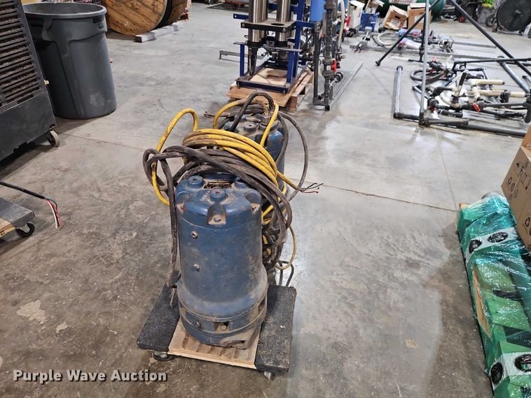 image for item EO7373 (2) Weil Pump 7202K3999 sump pumps