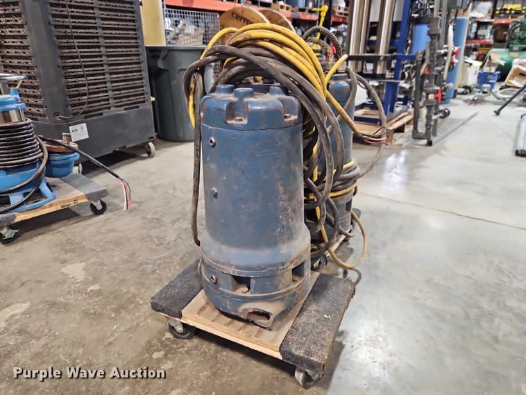 image for item EO7373 (2) Weil Pump 7202K3999 sump pumps