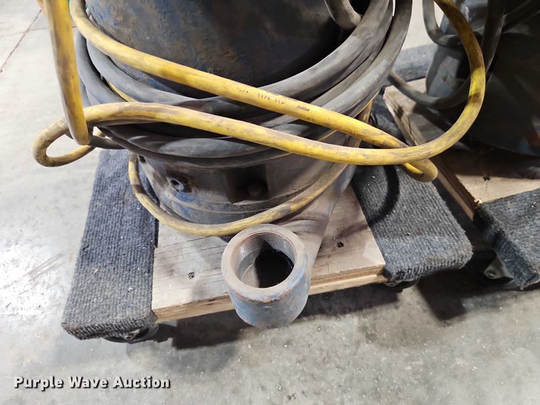 image for item EO7373 (2) Weil Pump 7202K3999 sump pumps