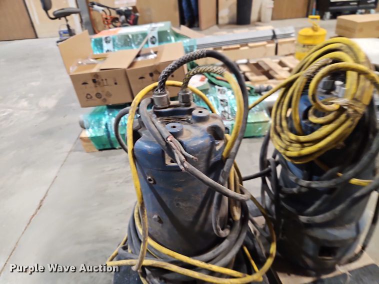 image for item EO7373 (2) Weil Pump 7202K3999 sump pumps