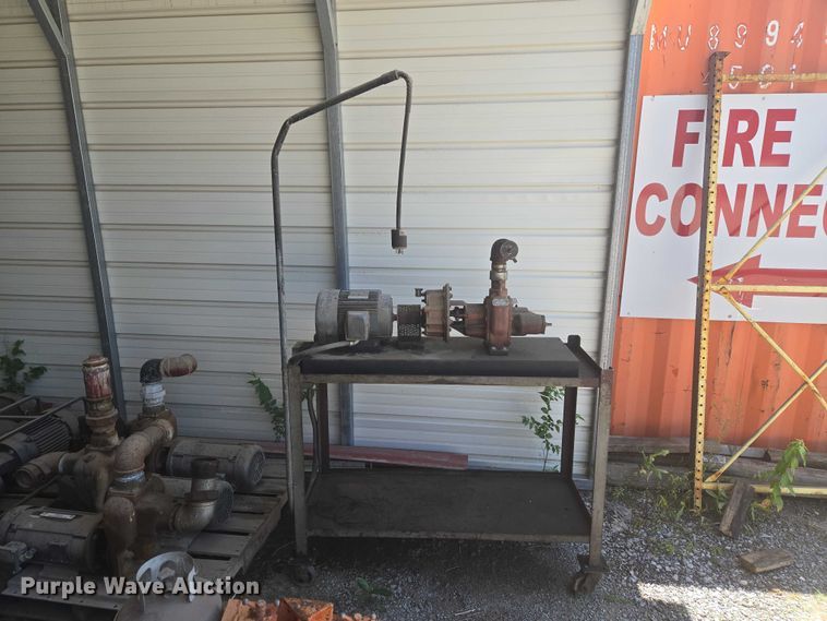 image for item EW0147 (6) pumps