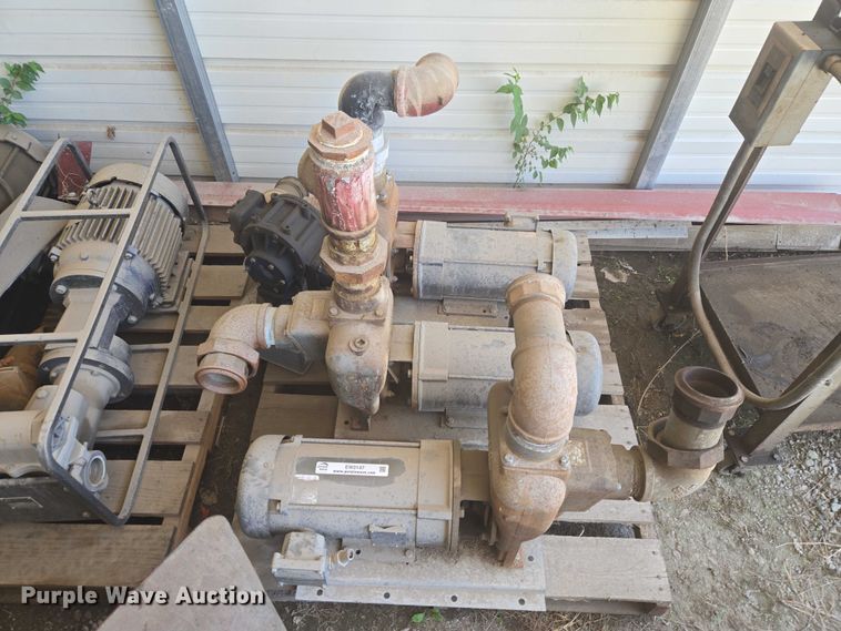 image for item EW0147 (6) pumps