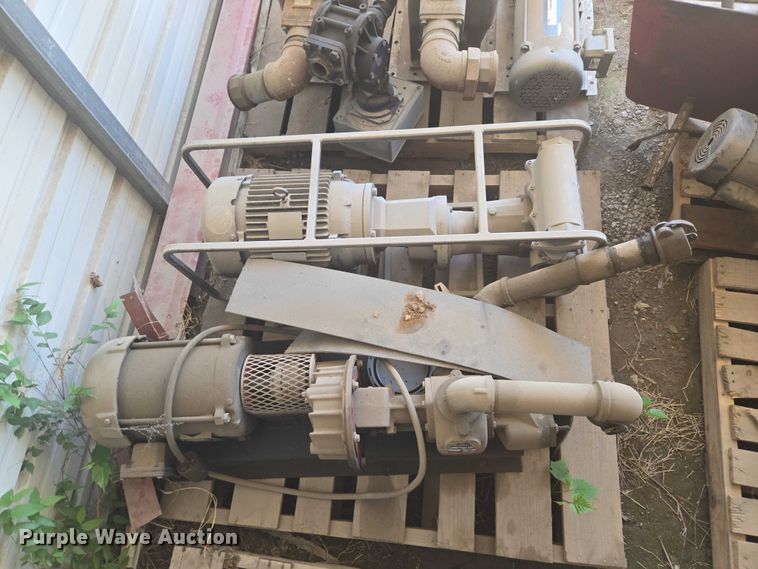 image for item EW0147 (6) pumps