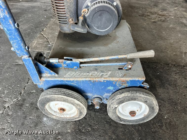 image for item FC2671 (3) Bluebird dethatchers