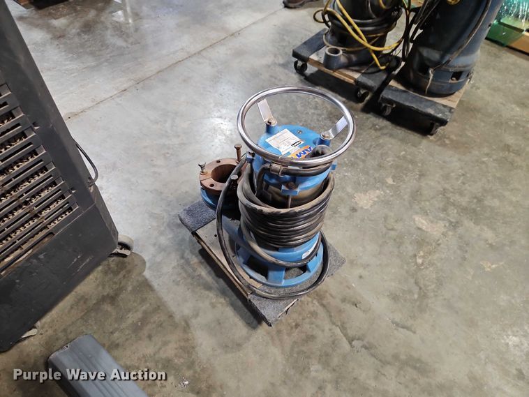 image for item EO7374 AMT 576D-95 sump pump