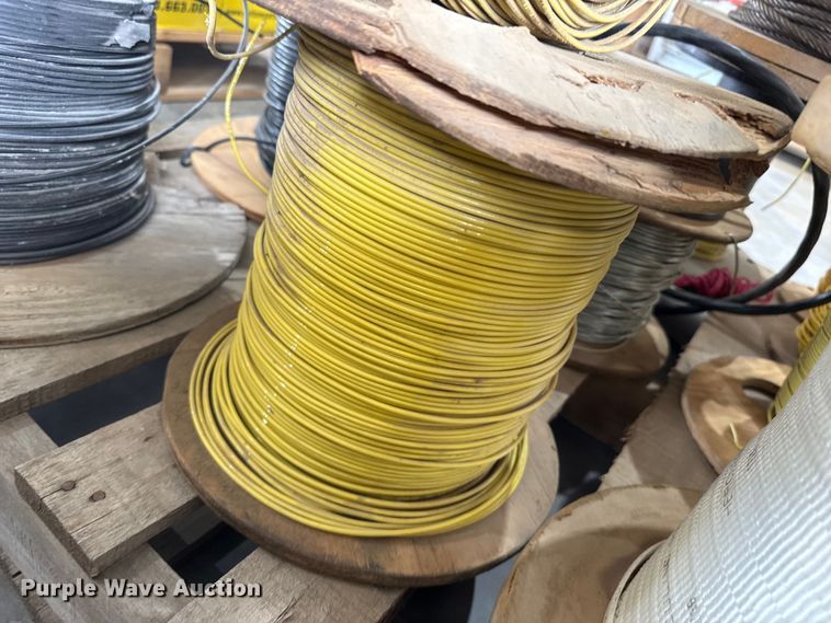 image for item EW4652 Tracer wire