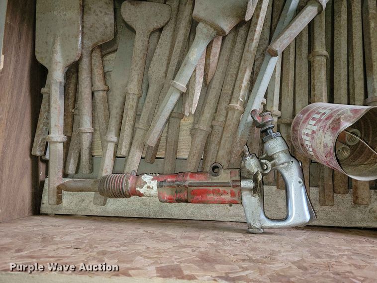 image for item DZ7166 Hammer drill and bits 
