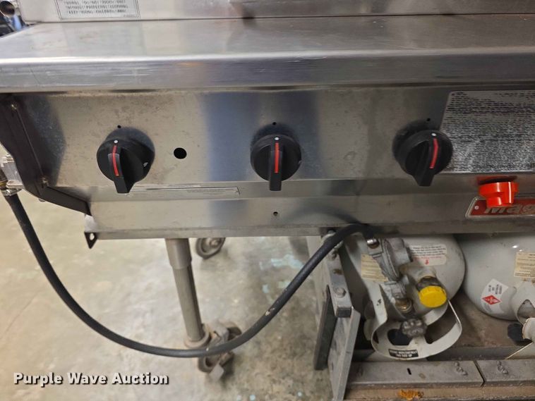 image for item EV2221 Magicator grill