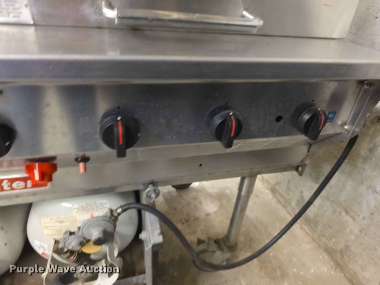 image for item EV2221 Magicator grill