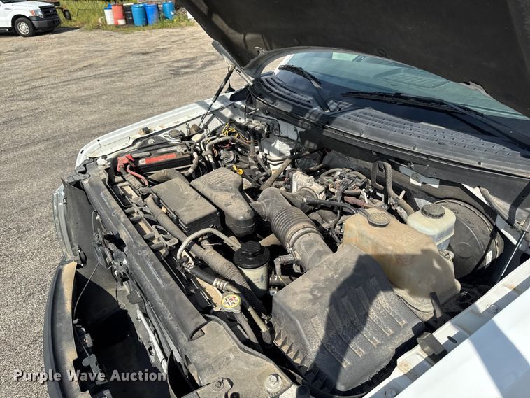 image for item EX4513 2010 Ford F150 pickup truck