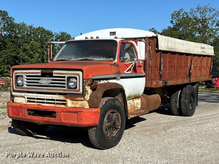image for item FG0339 1974 Chevrolet C60 grain truck