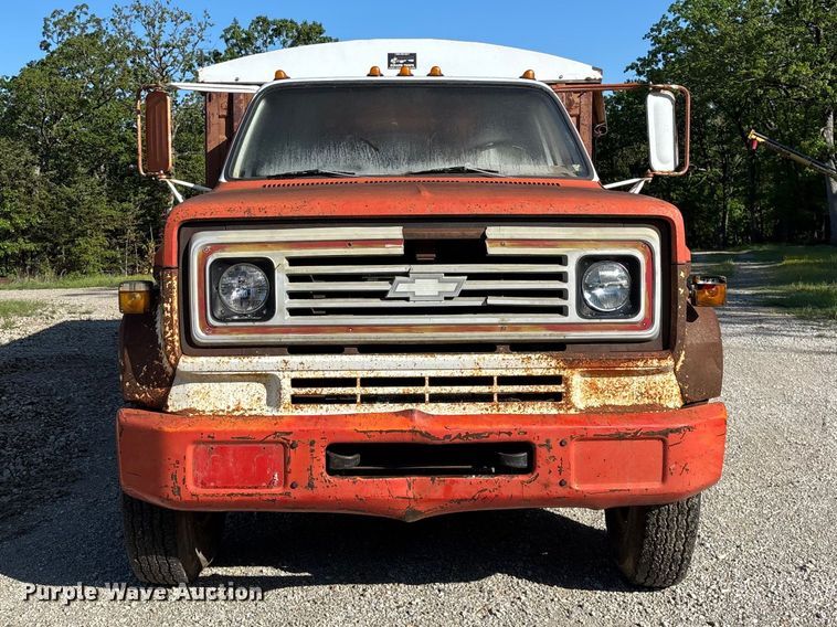 image for item FG0339 1974 Chevrolet C60 grain truck