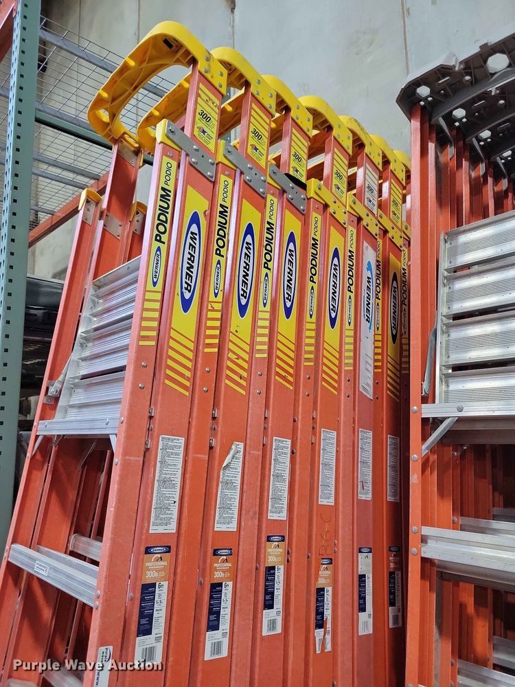 image for item DZ7237 (9) Werner ladders