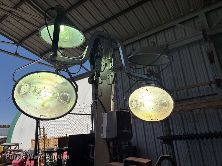 image for item DW1306 (3) Waco light plants