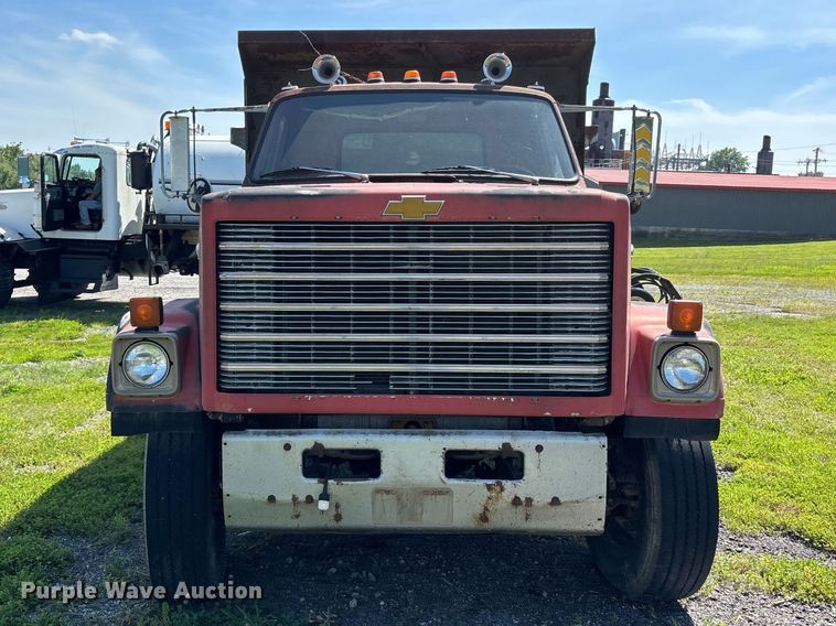 image for item DV4435 1979 Chevrolet Bruin dump truck