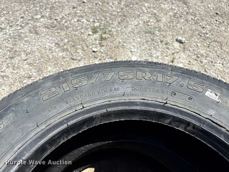 image for item EI5877 (2) Rainier ST R525 215/75R17.5 tires