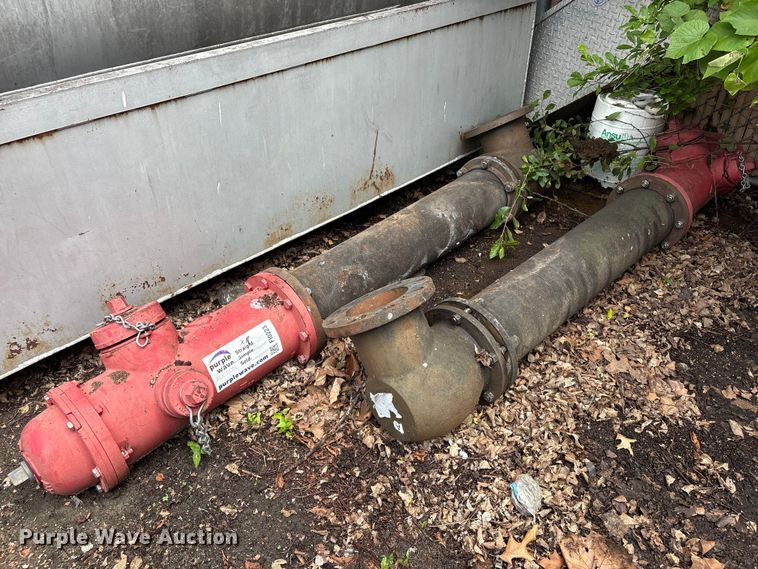image for item FI0223 (3) fire hydrants