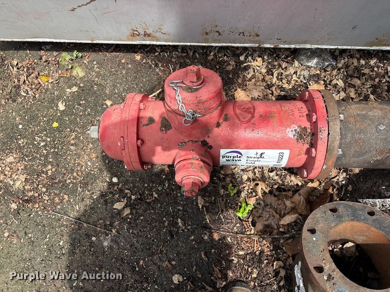 image for item FI0223 (3) fire hydrants