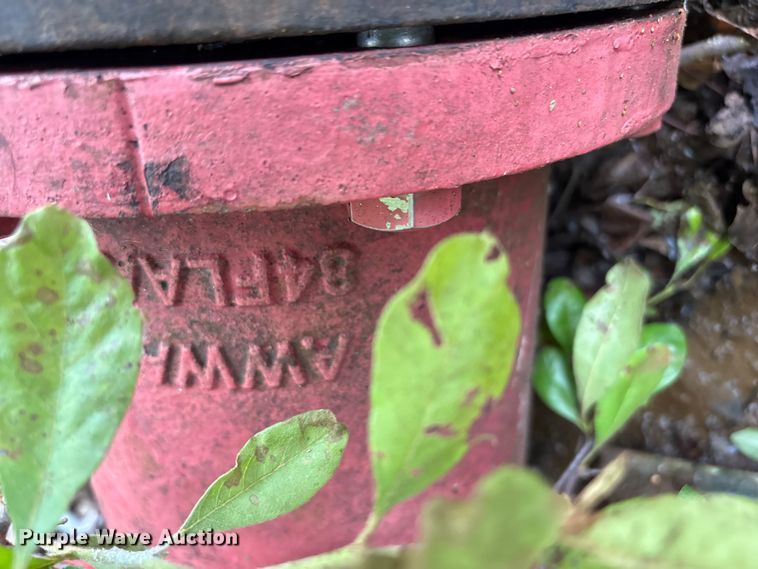 image for item FI0223 (3) fire hydrants