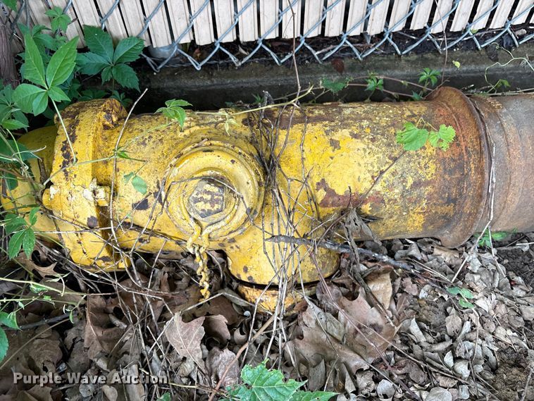 image for item FI0223 (3) fire hydrants