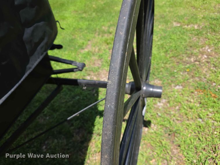 image for item EV2270 Moline horse buggy