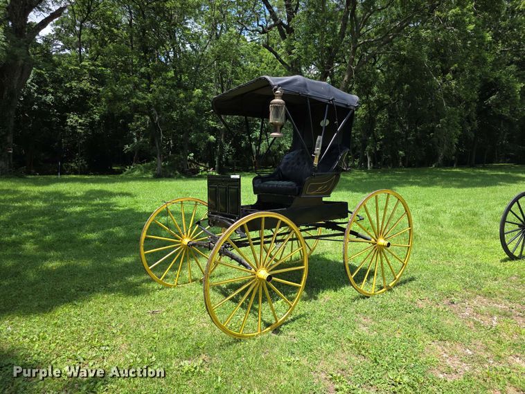 image for item EV2271 Sears Roebuck horse buggy