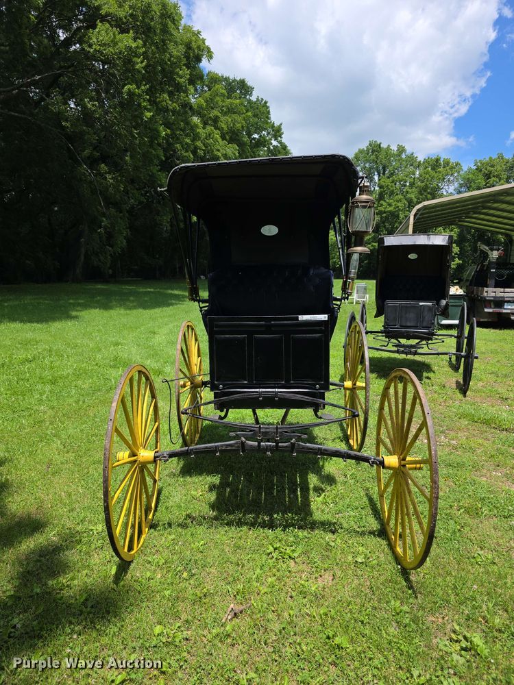 image for item EV2271 Sears Roebuck horse buggy