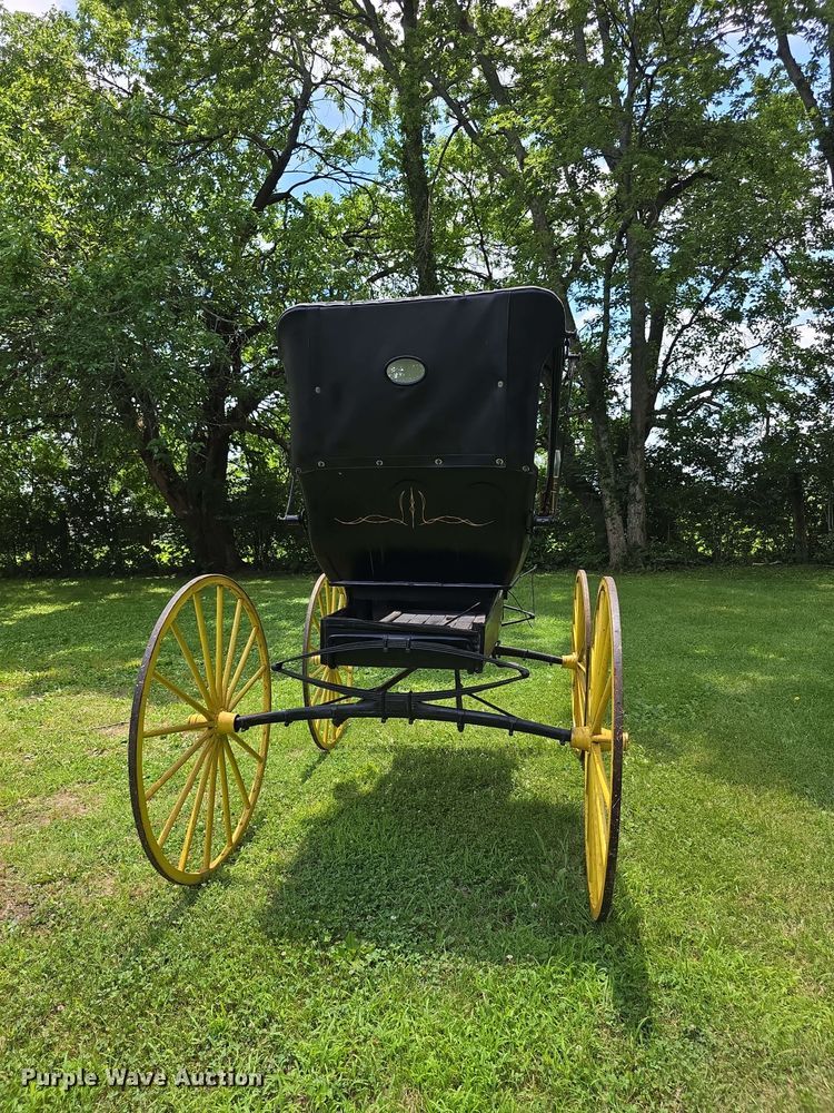 image for item EV2271 Sears Roebuck horse buggy