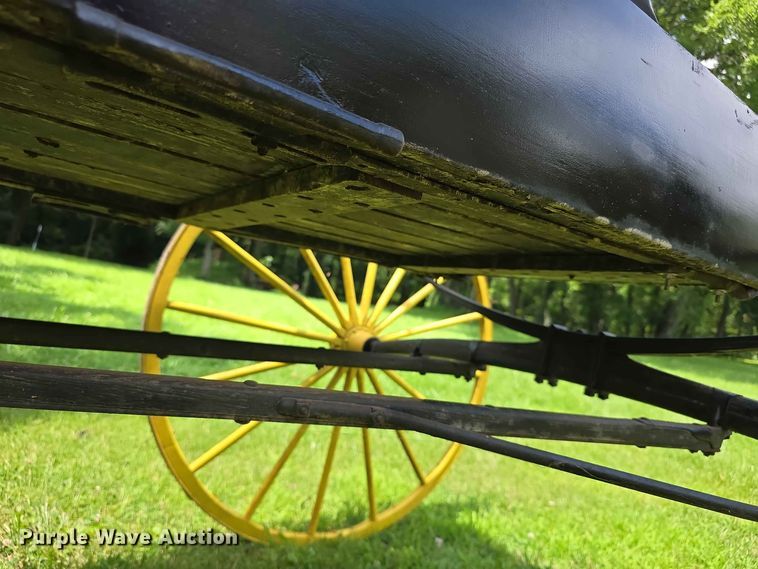 image for item EV2271 Sears Roebuck horse buggy