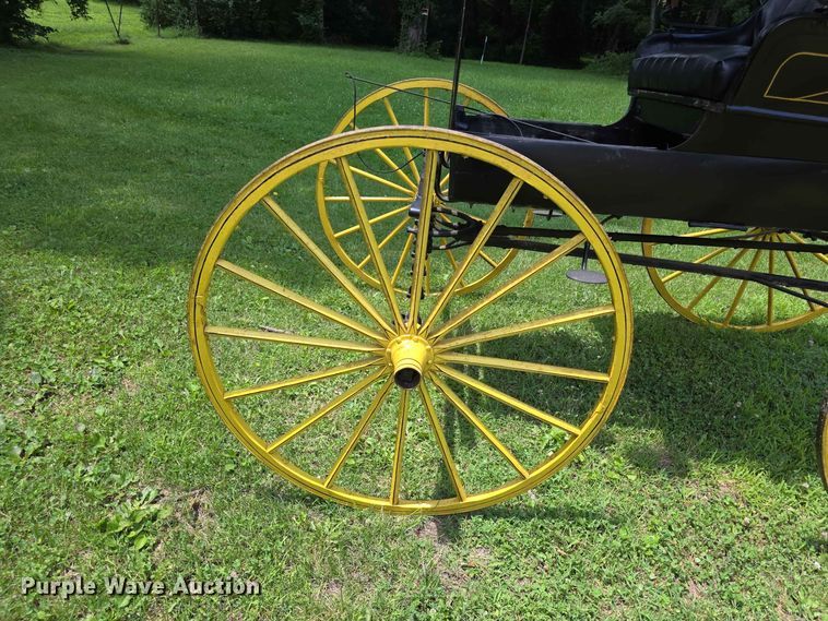 image for item EV2271 Sears Roebuck horse buggy