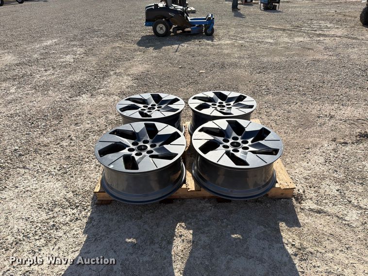 image for item EX5513 Set of 4 Rims