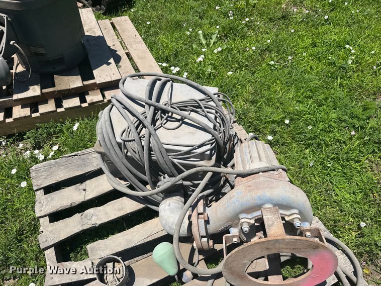 image for item EW4842 (2) pumps