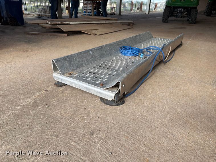 image for item EQ8016 Tru Test livestock scale