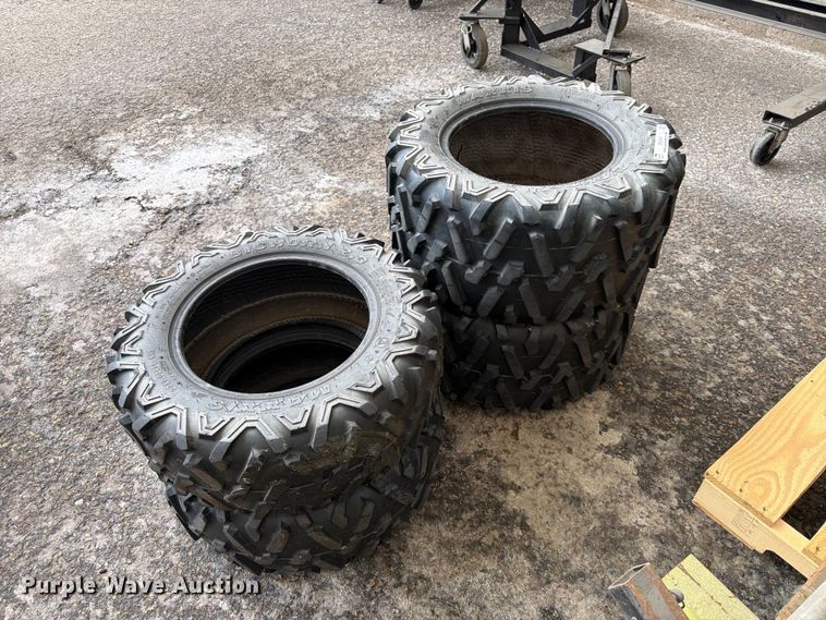 image for item EX5543 Maxxis Bighorn 2.0 tires