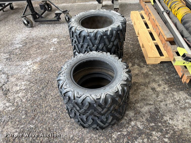 image for item EX5543 Maxxis Bighorn 2.0 tires