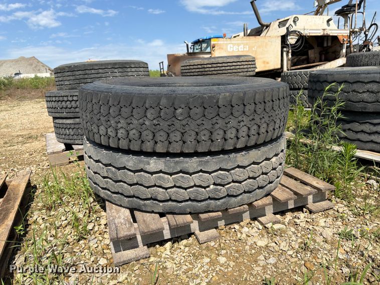 image for item FK3020 Approximately 21 tires
