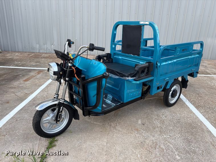 image for item EU0724 IR IRET13 electric tricycle