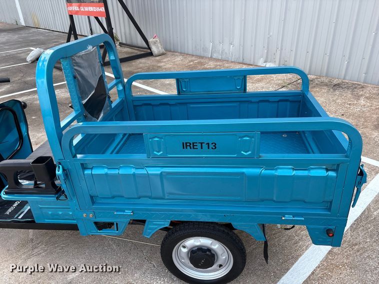 image for item EU0724 IR IRET13 electric tricycle