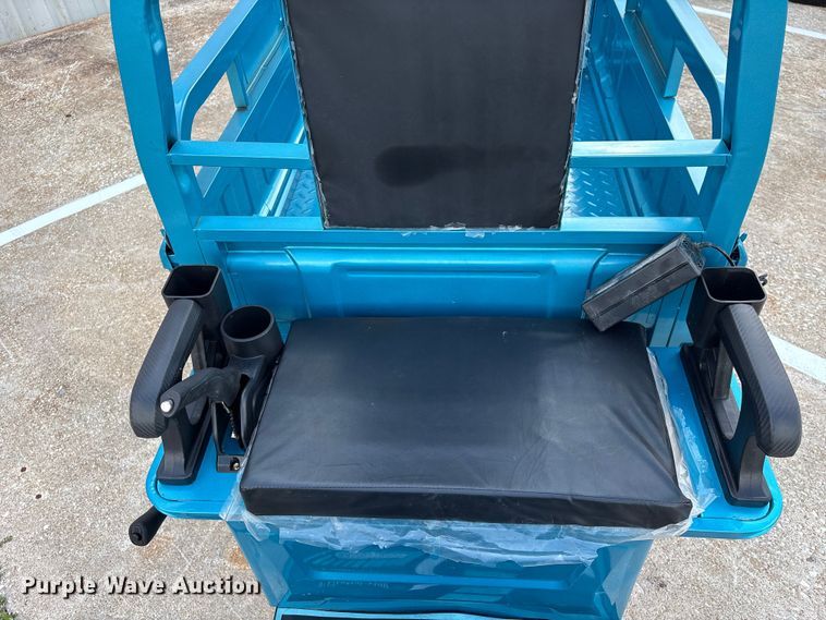 image for item EU0724 IR IRET13 electric tricycle