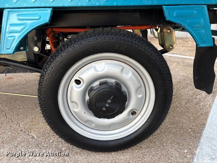 image for item EU0724 IR IRET13 electric tricycle