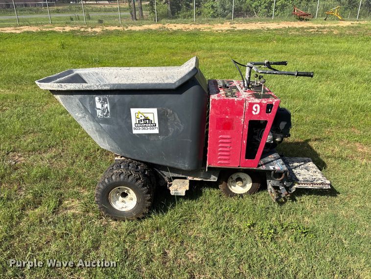 image for item FB8241 Allen concrete buggy
