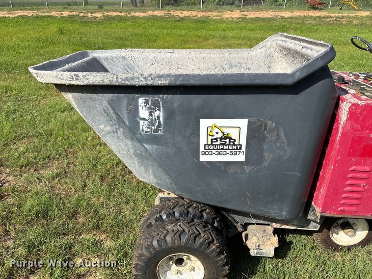 image for item FB8241 Allen concrete buggy