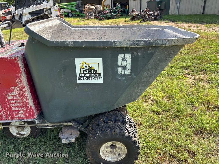 image for item FB8241 Allen concrete buggy