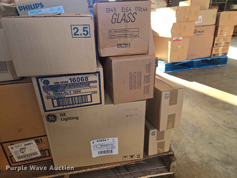 image for item EW0446 Light bulbs