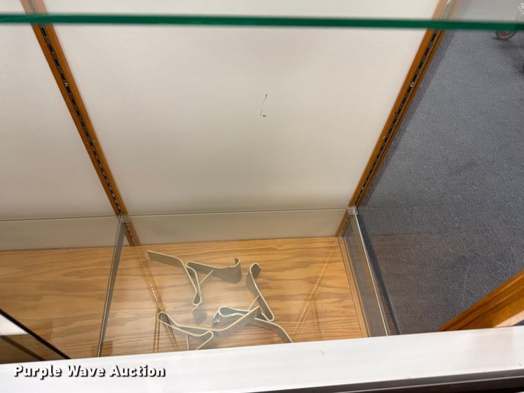 image for item EW3992 Display cases