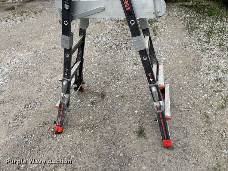 image for item EO4415 (2) Little Giant Ladder Systems ladders