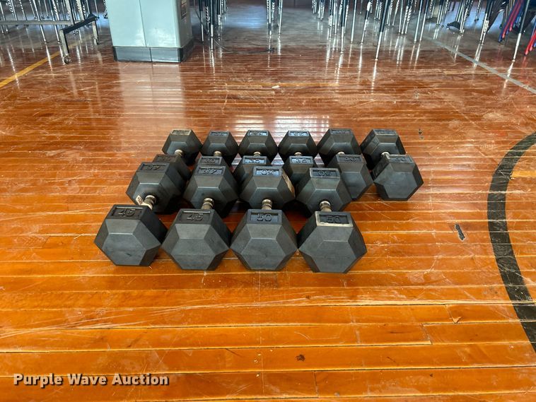 image for item NM9848 Dumbbells